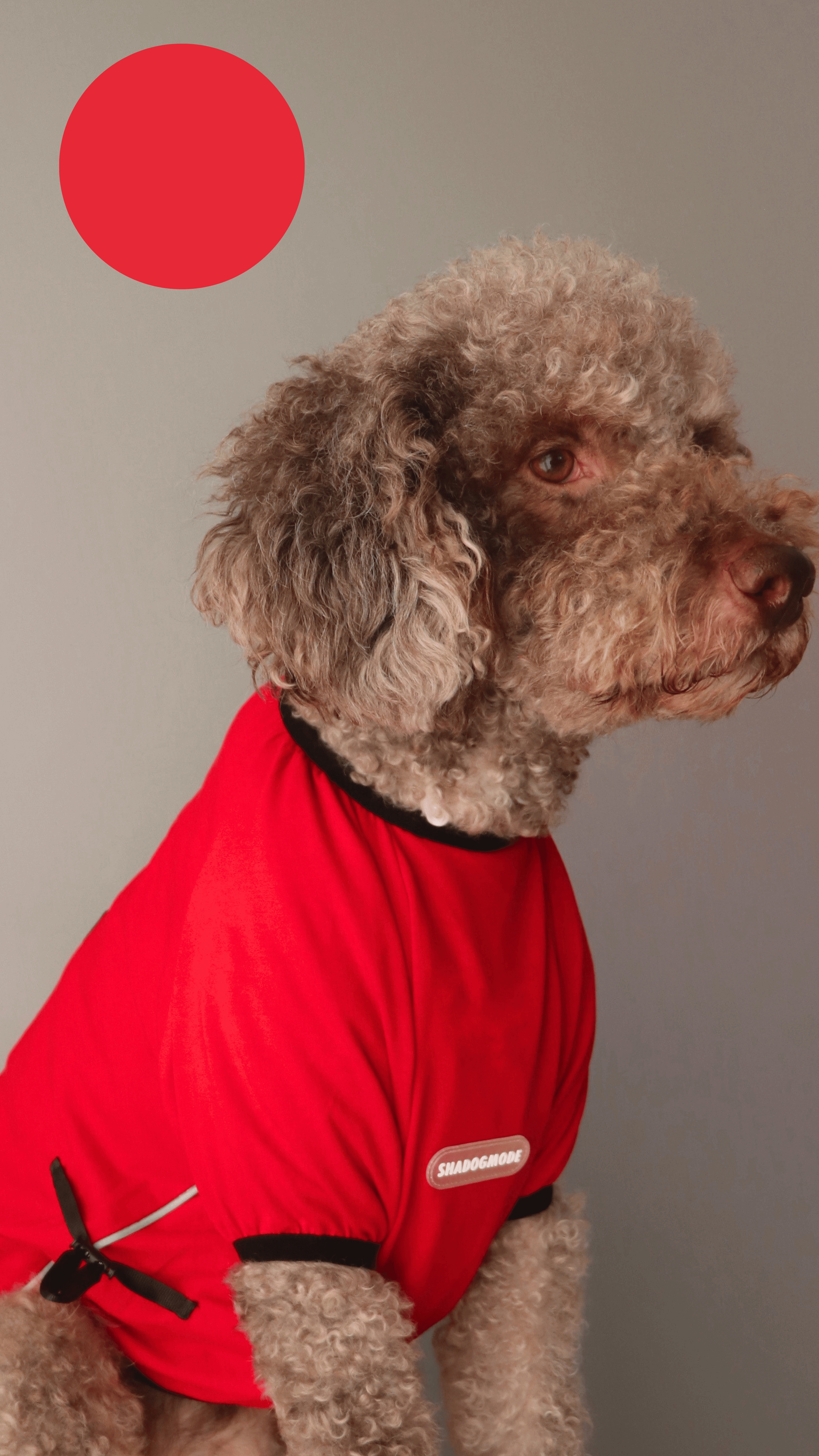 REDBLACK T-SHİRT